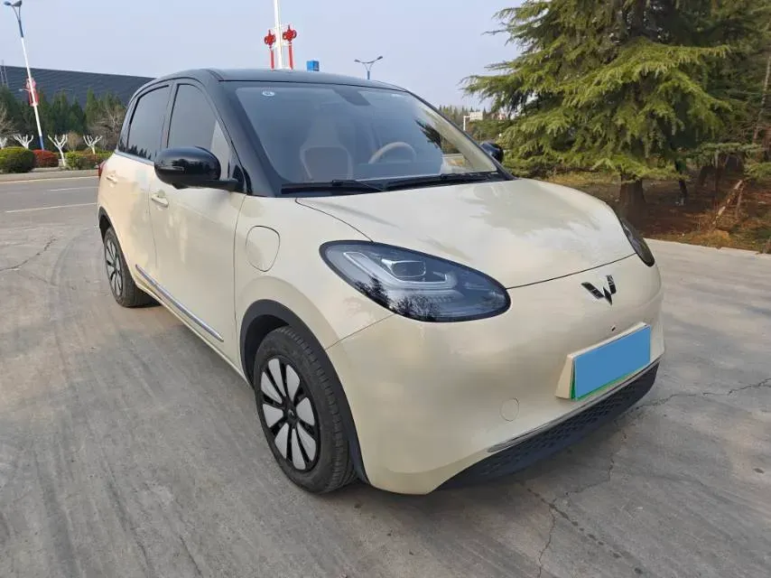 2025 WuLing BinGuo BEV,autocango,china used car exporter,china ev exporter,chinese used car exporter,chinese used ev exporter