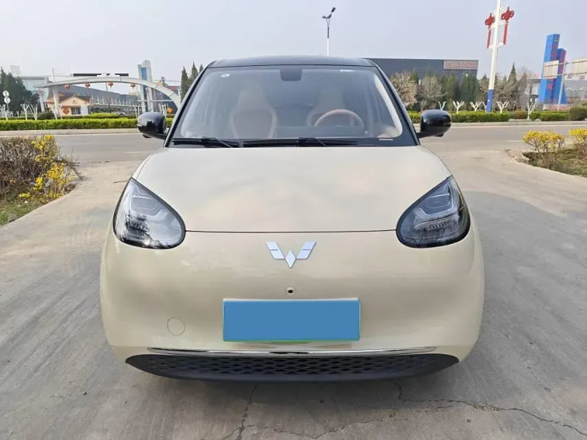 2025 WuLing BinGuo BEV,autocango,china used car exporter,china ev exporter,chinese used car exporter,chinese used ev exporter