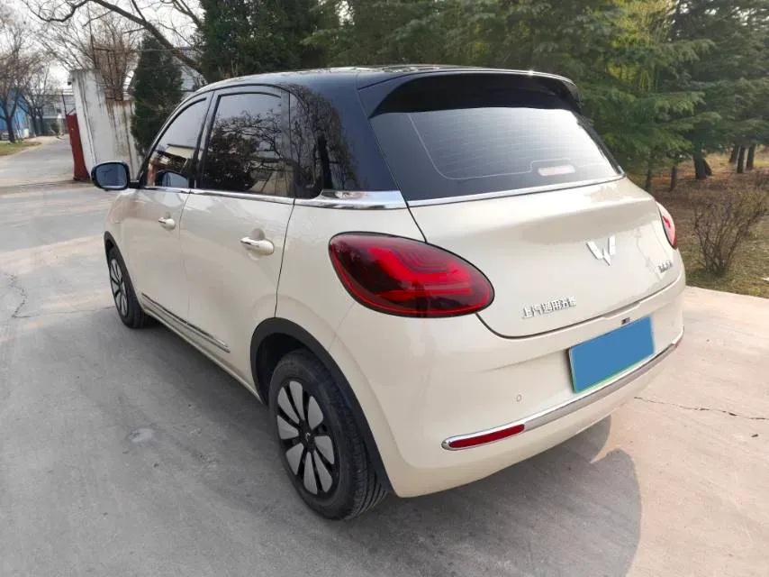 2025 WuLing BinGuo BEV,autocango,china used car exporter,china ev exporter,chinese used car exporter,chinese used ev exporter