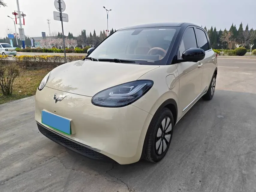 2025 WuLing BinGuo BEV,autocango,china used car exporter,china ev exporter,chinese used car exporter,chinese used ev exporter