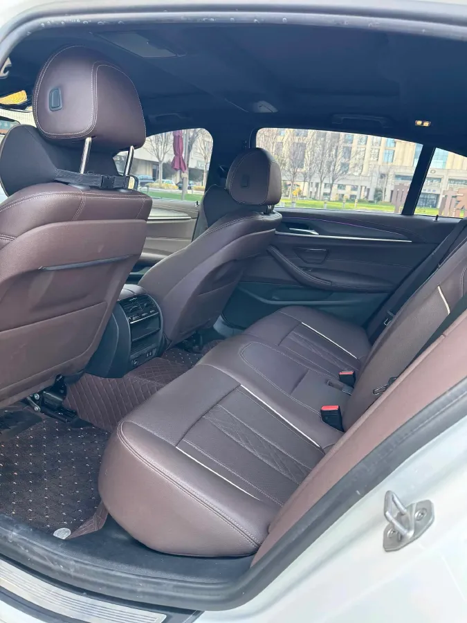 2021 BMW 5 Series 2.0T 252HP L4 8AT,autocango,china used car exporter,china ev exporter,chinese used car exporter,chinese used ev exporter