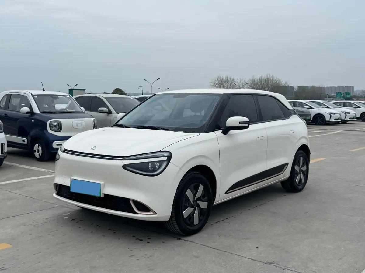 2024 DongFeng eπ 01 BEV 31.45KWH,autocango,china used car exporter,china ev exporter,chinese used car exporter,chinese used ev exporter