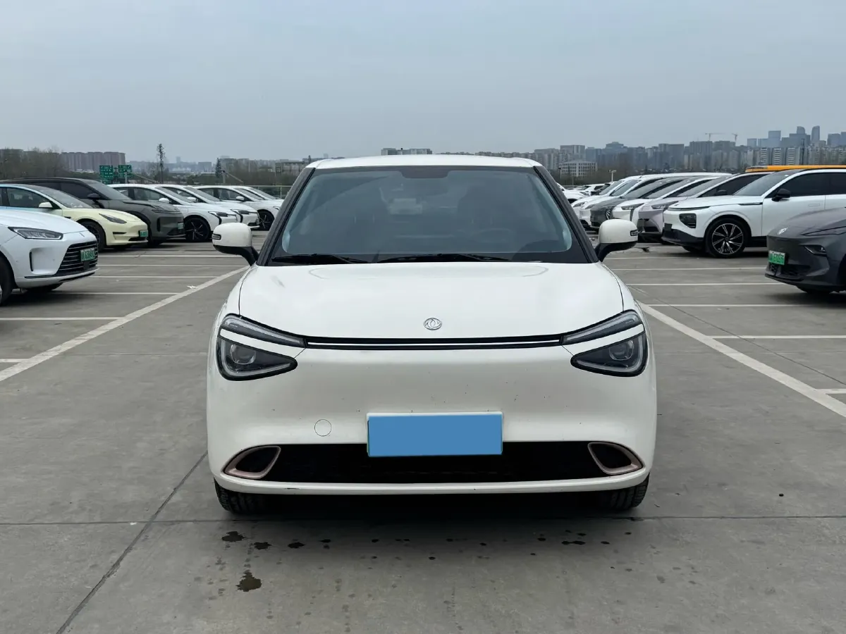 2024 DongFeng eπ 01 BEV 31.45KWH,autocango,china used car exporter,china ev exporter,chinese used car exporter,chinese used ev exporter