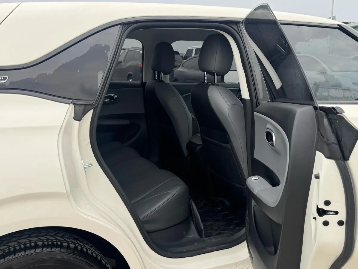 2024 DongFeng eπ 01 BEV 31.45KWH,autocango,china used car exporter,china ev exporter,chinese used car exporter,chinese used ev exporter