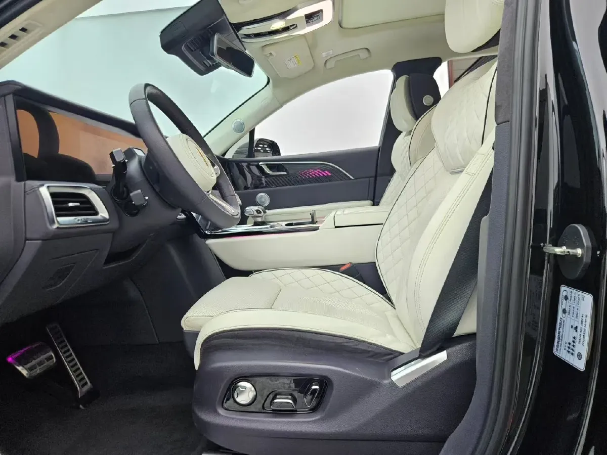 2021 HongQi E-HS9 BEV 99KWH,autocango,china used car exporter,china ev exporter,chinese used car exporter,chinese used ev exporter