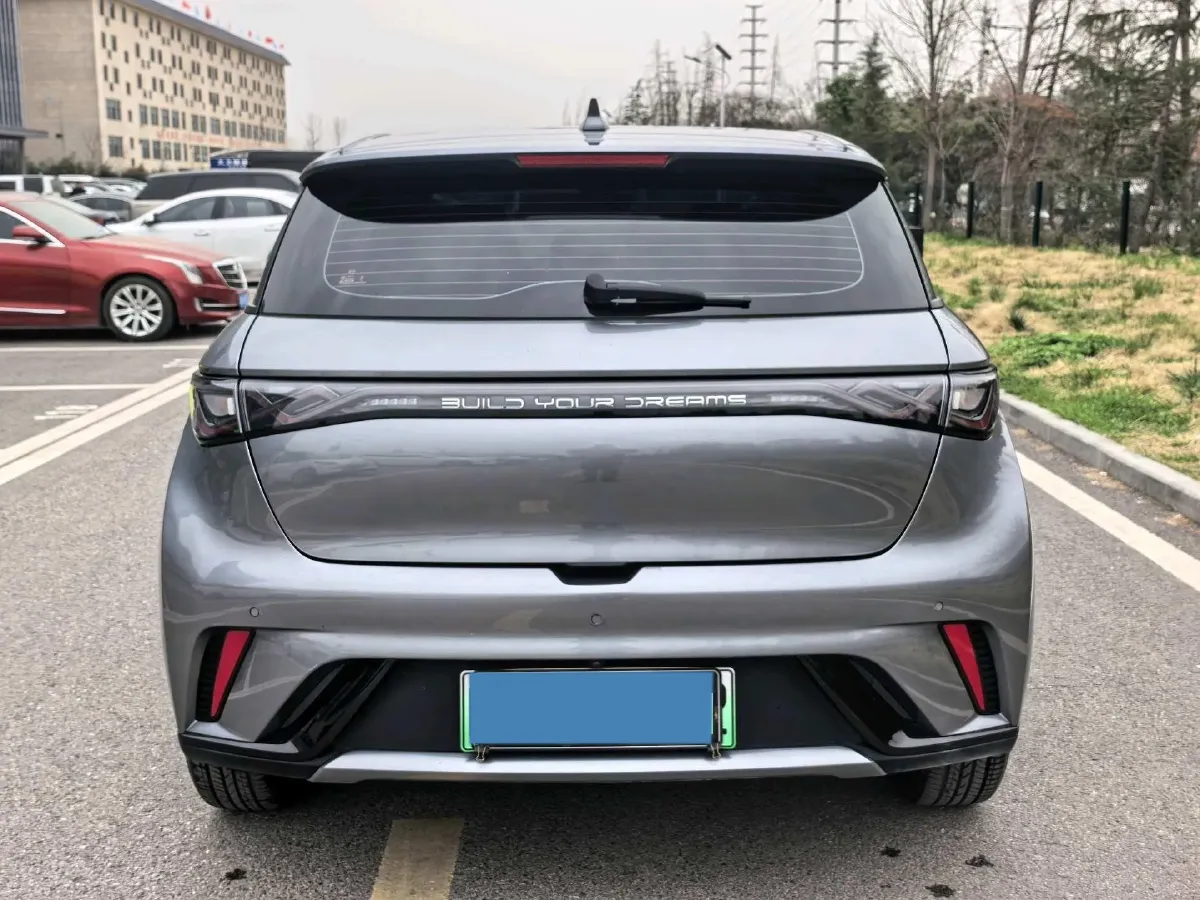 2023 BYD Dolphin BEV 44.928KWH,autocango,china used car exporter,china ev exporter,chinese used car exporter,chinese used ev exporter