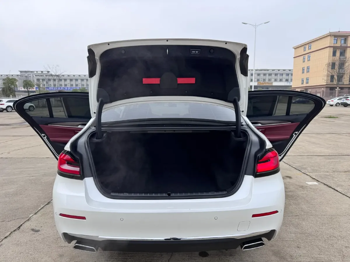 2022 BMW 5 Series 2.0T 252HP L4 8AT,autocango,china used car exporter,china ev exporter,chinese used car exporter,chinese used ev exporter