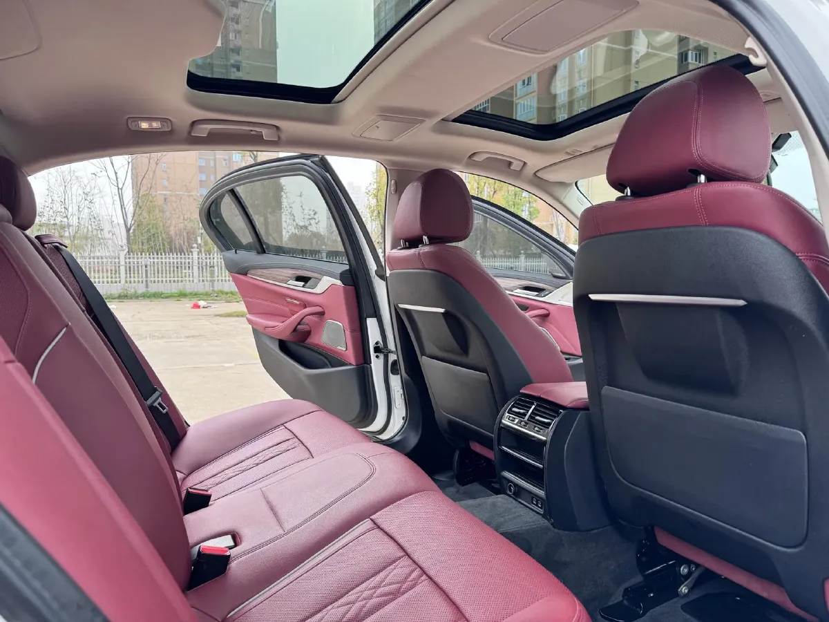 2022 BMW 5 Series 2.0T 252HP L4 8AT,autocango,china used car exporter,china ev exporter,chinese used car exporter,chinese used ev exporter