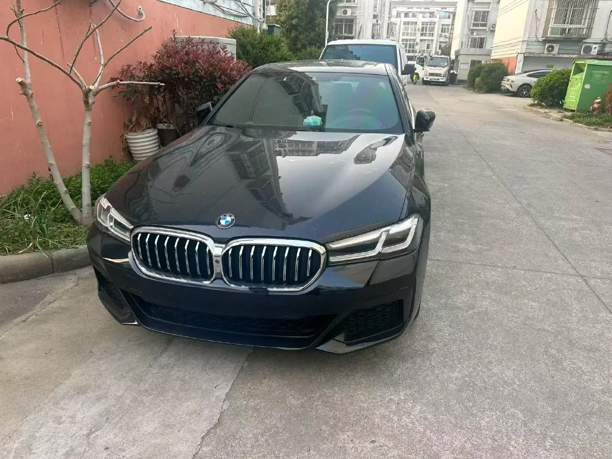 2021 BMW 5 Series 2.0T 252HP L4 8AT,autocango,china used car exporter,china ev exporter,chinese used car exporter,chinese used ev exporter