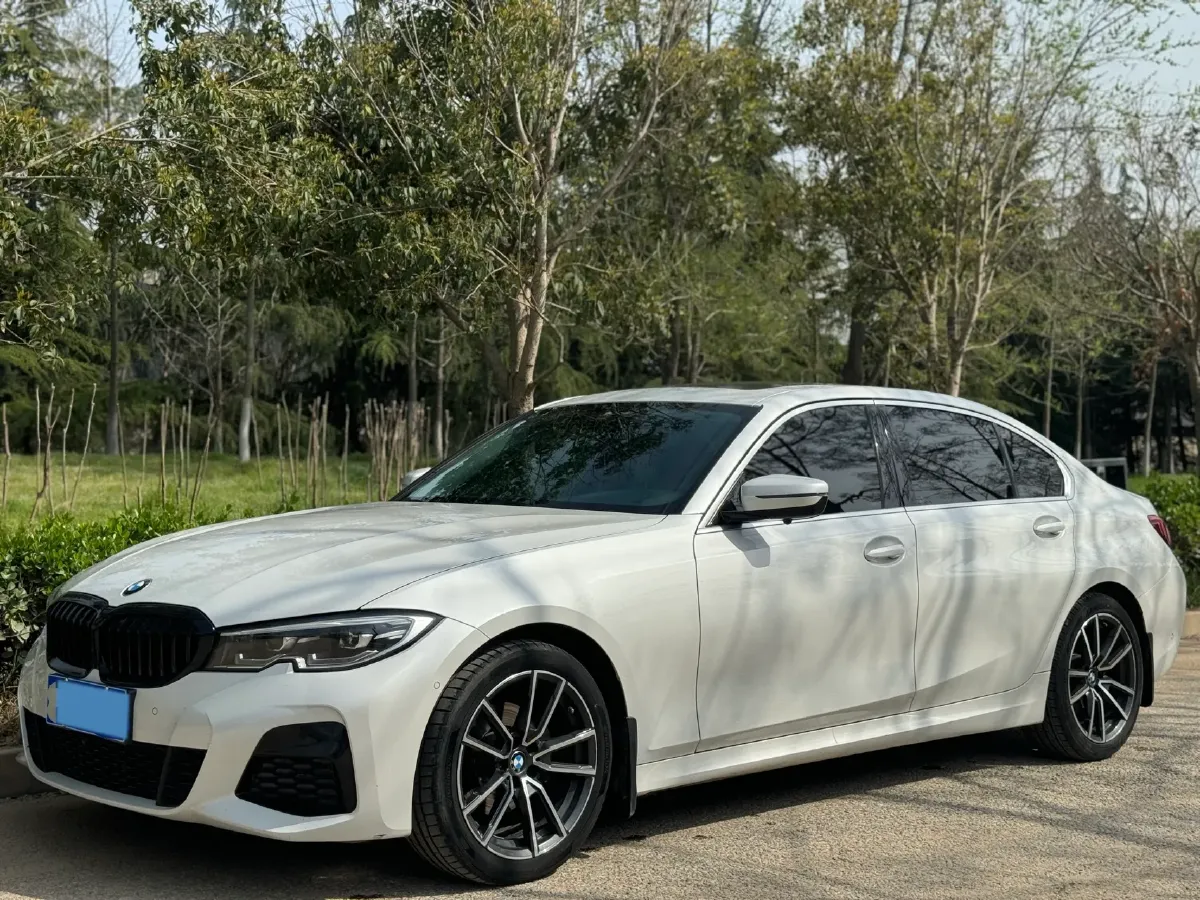 2021 BMW 3 Series 2.0T 184HP L4 8AT,autocango,china used car exporter,china ev exporter,chinese used car exporter,chinese used ev exporter