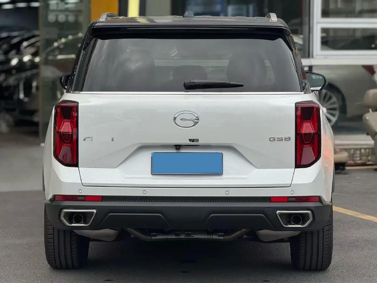 2024 GAC Trumpchi GS8 2.0T 252HP L4 8AT,autocango,china used car exporter,china ev exporter,chinese used car exporter,chinese used ev exporter