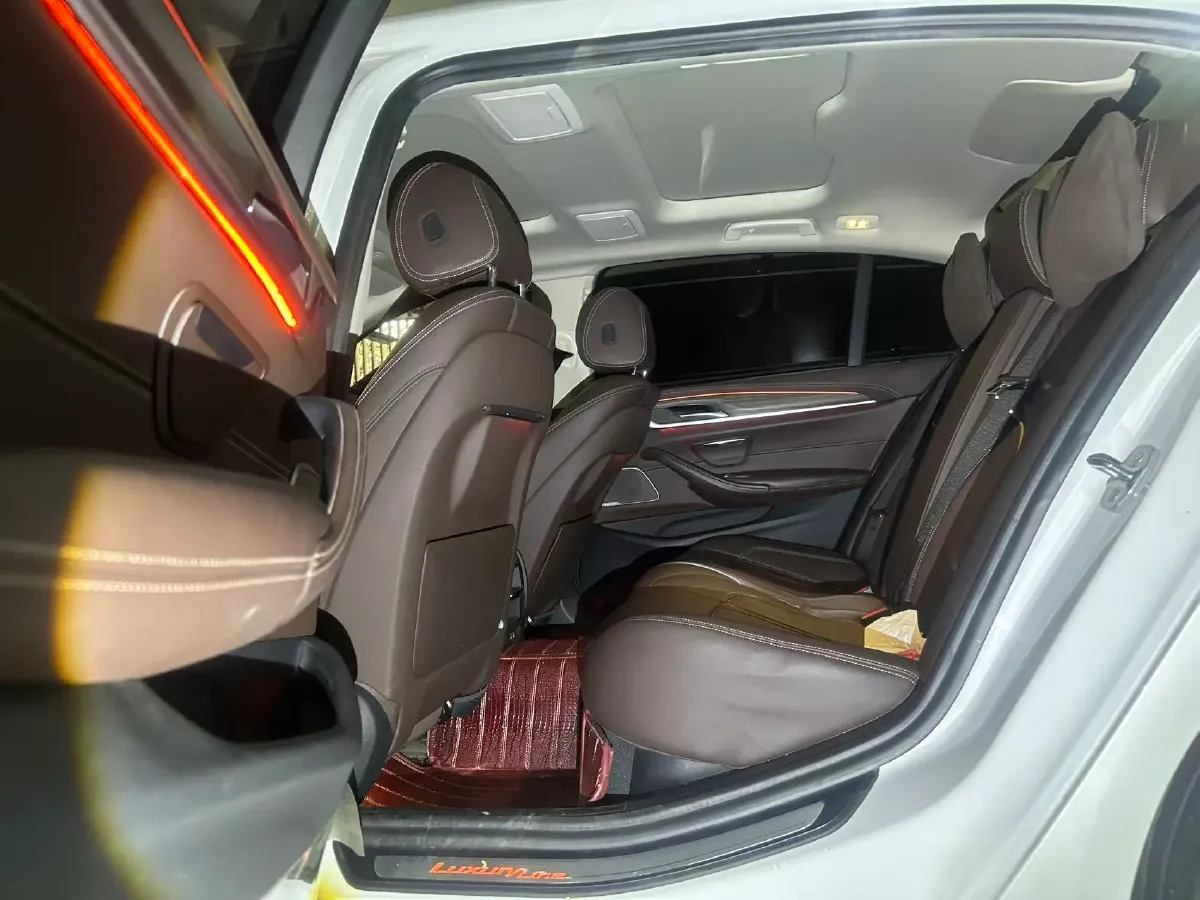 2020 BMW 5 Series 2.0T 252HP L4 8AT,autocango,china used car exporter,china ev exporter,chinese used car exporter,chinese used ev exporter