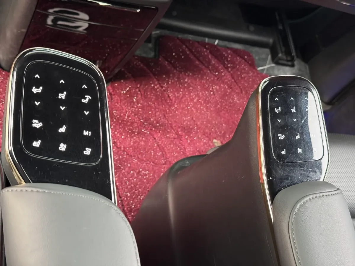 2024 GAC Trumpchi M8 2.0T 252HP L4 8AT,autocango,china used car exporter,china ev exporter,chinese used car exporter,chinese used ev exporter