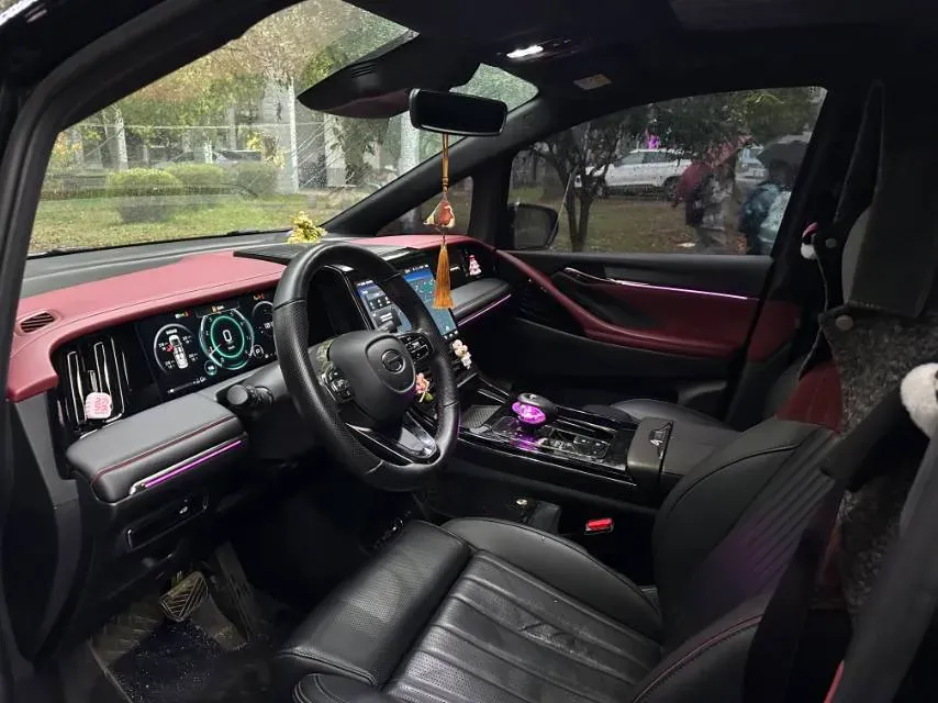 2024 GAC Trumpchi M8 2.0T 252HP L4 8AT,autocango,china used car exporter,china ev exporter,chinese used car exporter,chinese used ev exporter