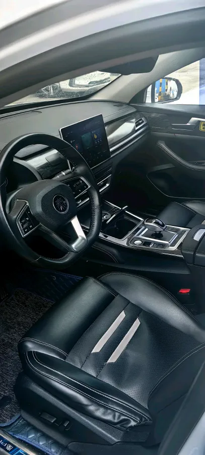 2019 BYD Qin Pro BEV 56.4KWH,autocango,china used car exporter,china ev exporter,chinese used car exporter,chinese used ev exporter