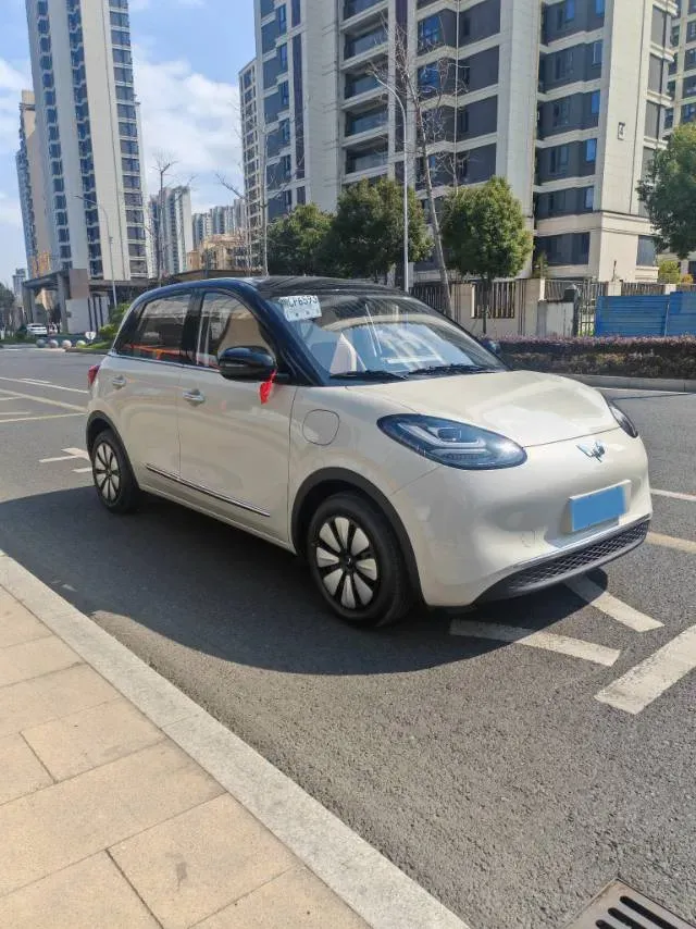 2025 WuLing BinGuo BEV,autocango,china used car exporter,china ev exporter,chinese used car exporter,chinese used ev exporter