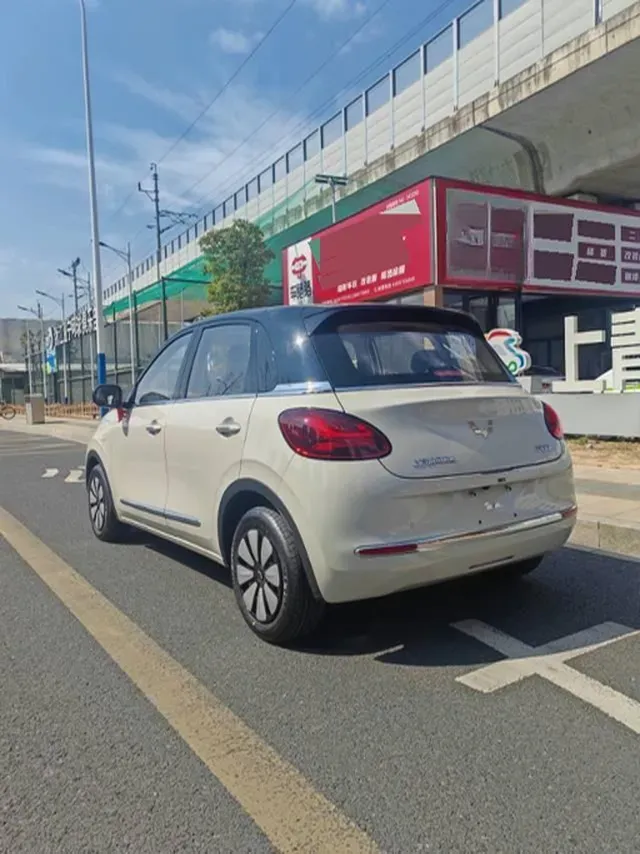 2025 WuLing BinGuo BEV,autocango,china used car exporter,china ev exporter,chinese used car exporter,chinese used ev exporter