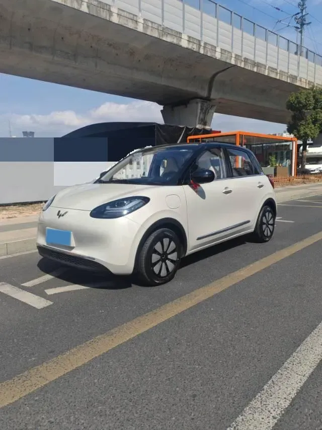 2025 WuLing BinGuo BEV,autocango,china used car exporter,china ev exporter,chinese used car exporter,chinese used ev exporter