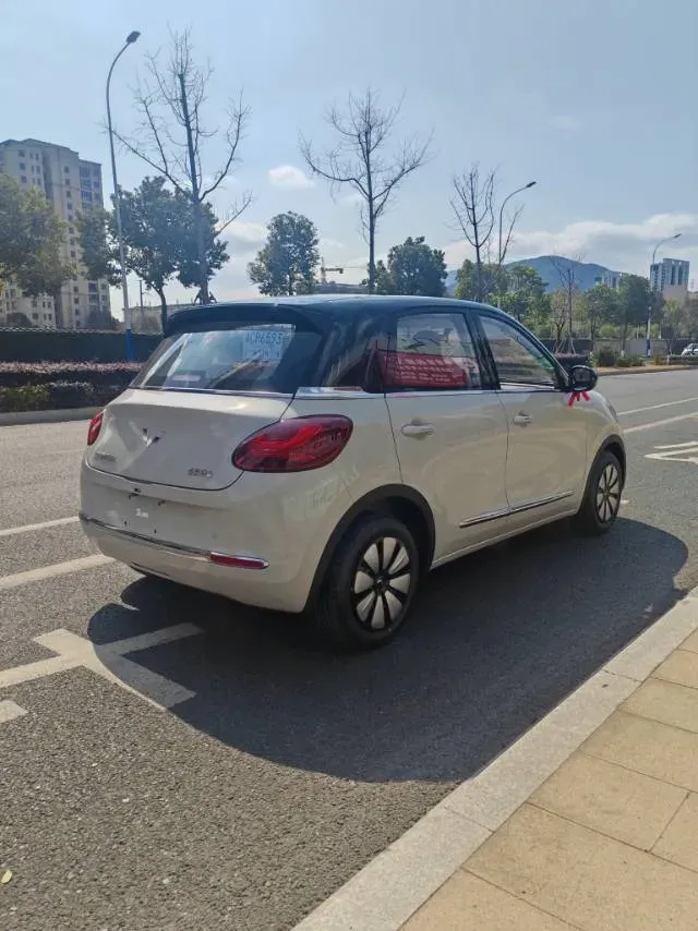 2025 WuLing BinGuo BEV,autocango,china used car exporter,china ev exporter,chinese used car exporter,chinese used ev exporter