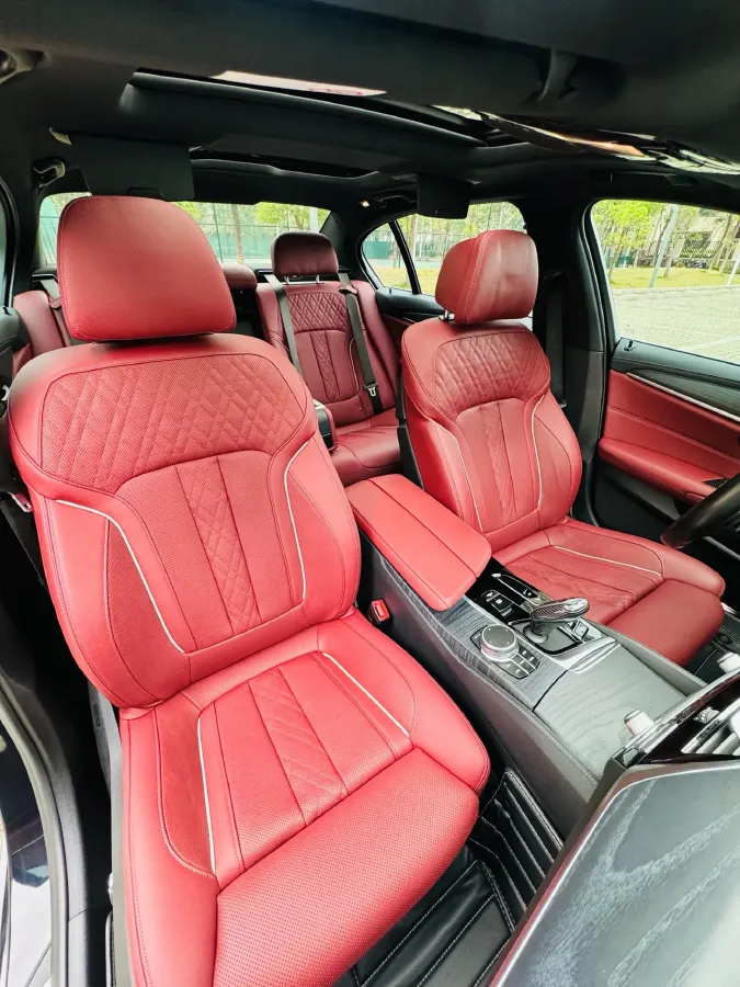 2021 BMW 5 Series 2.0T 252HP L4 8AT,autocango,china used car exporter,china ev exporter,chinese used car exporter,chinese used ev exporter