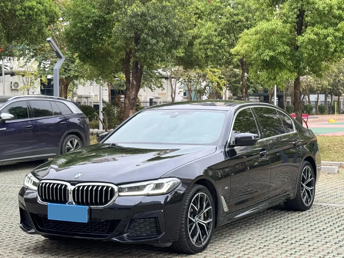 2021 BMW 5 Series 2.0T 252HP L4 8AT,autocango,china used car exporter,china ev exporter,chinese used car exporter,chinese used ev exporter