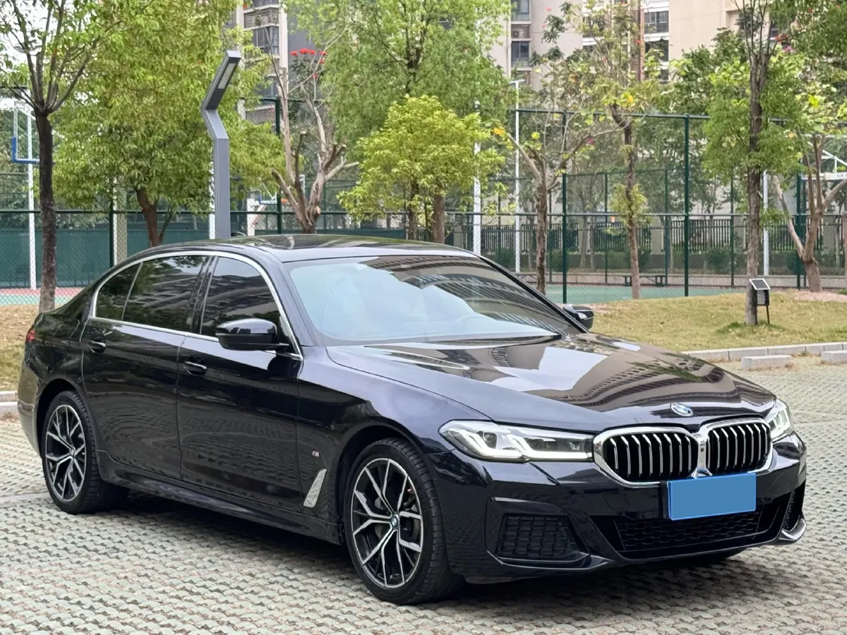 2021 BMW 5 Series 2.0T 252HP L4 8AT,autocango,china used car exporter,china ev exporter,chinese used car exporter,chinese used ev exporter