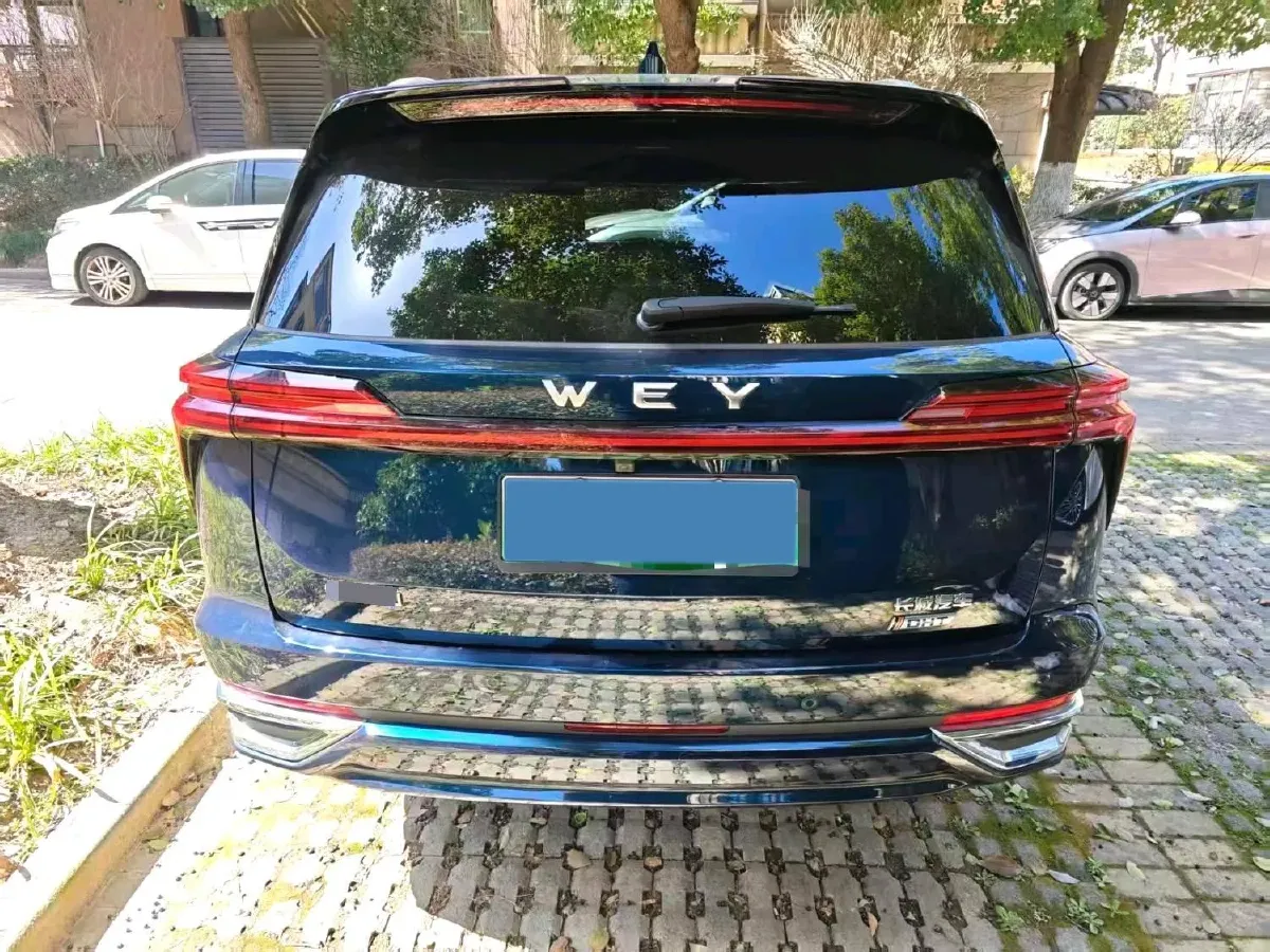 2023 WEY BlueMountain 1.5T 154HP L4 2DHT PHEV 44.5KWH,autocango,china used car exporter,china ev exporter,chinese used car exporter,chinese used ev exporter