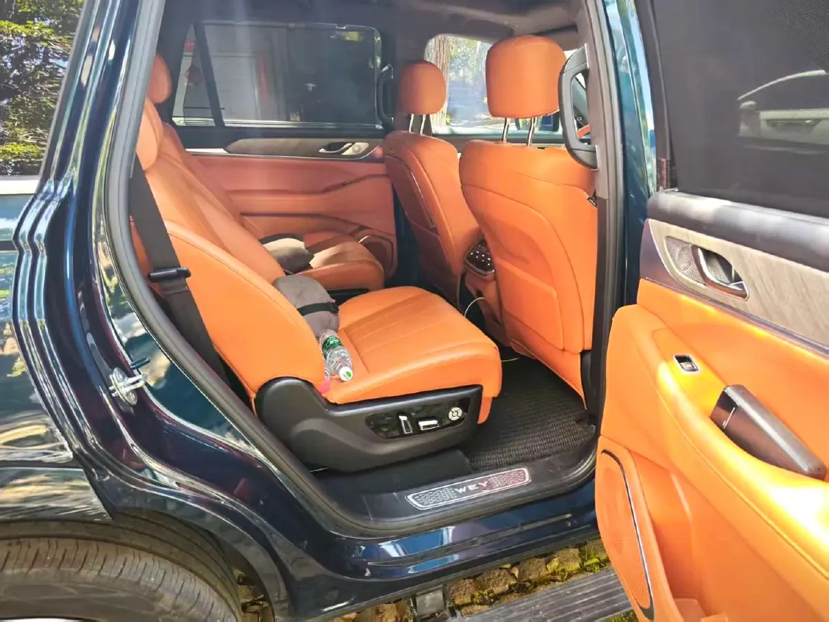 2023 WEY BlueMountain 1.5T 154HP L4 2DHT PHEV 44.5KWH,autocango,china used car exporter,china ev exporter,chinese used car exporter,chinese used ev exporter