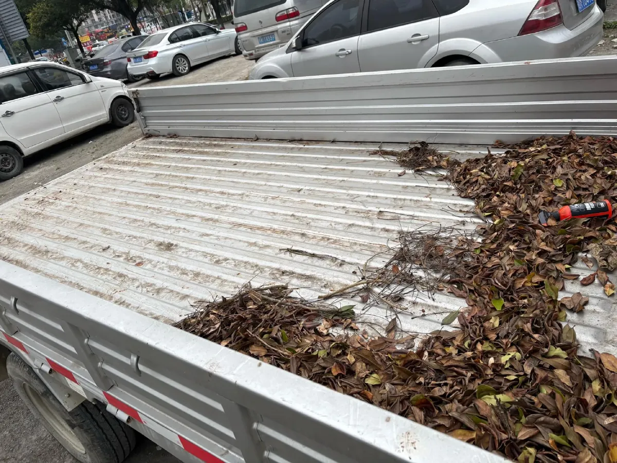 2023 WuLing RongGuang New Truck 2.0L 136HP L4 5MT,autocango,china used car exporter,china ev exporter,chinese used car exporter,chinese used ev exporter