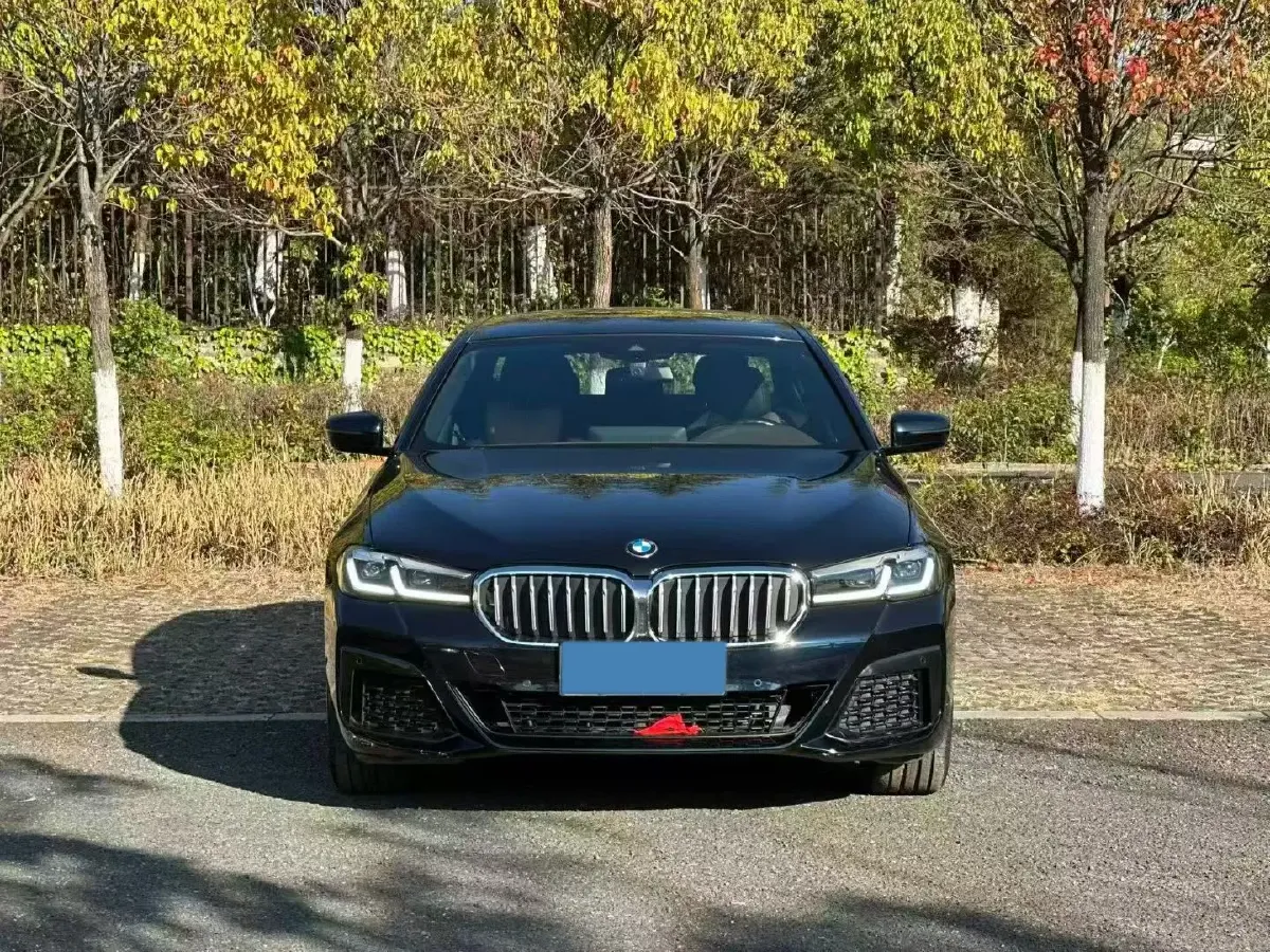 2022 BMW 5 Series 2.0T 252HP L4 8AT,autocango,china used car exporter,china ev exporter,chinese used car exporter,chinese used ev exporter