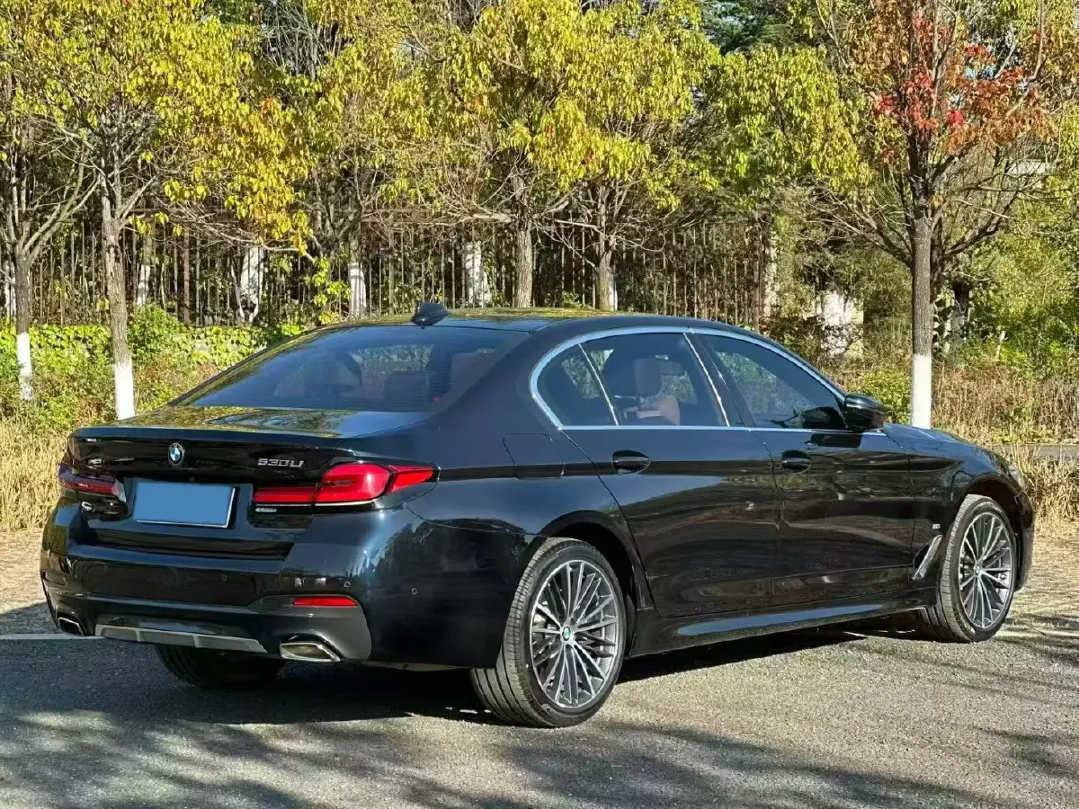 2022 BMW 5 Series 2.0T 252HP L4 8AT,autocango,china used car exporter,china ev exporter,chinese used car exporter,chinese used ev exporter