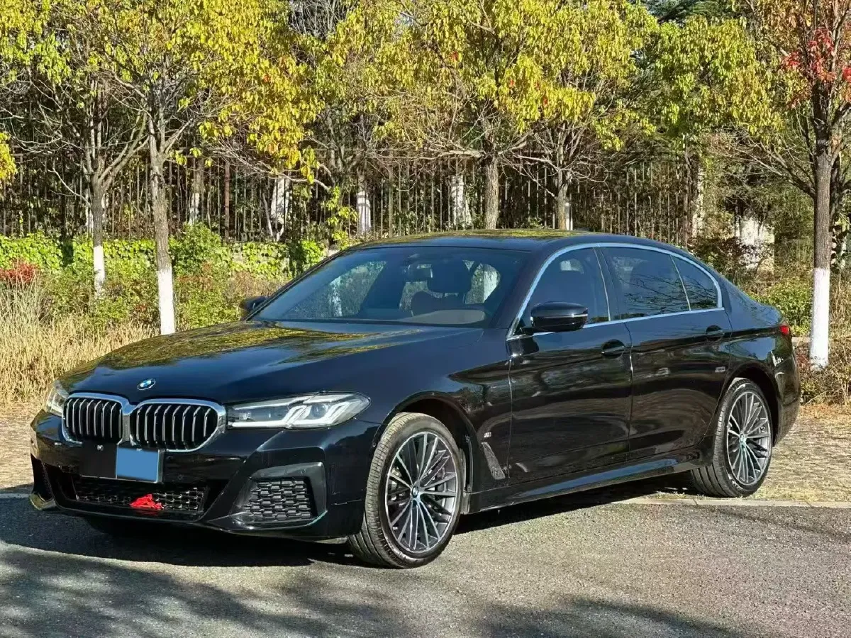 2022 BMW 5 Series 2.0T 252HP L4 8AT,autocango,china used car exporter,china ev exporter,chinese used car exporter,chinese used ev exporter