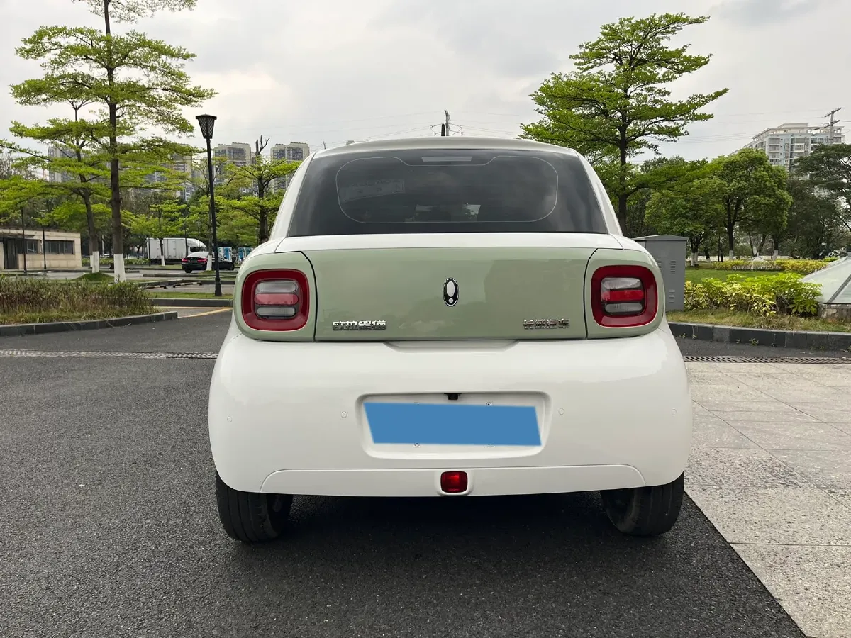 2021 Ora BlackCat BEV 33KWH,autocango,china used car exporter,china ev exporter,chinese used car exporter,chinese used ev exporter