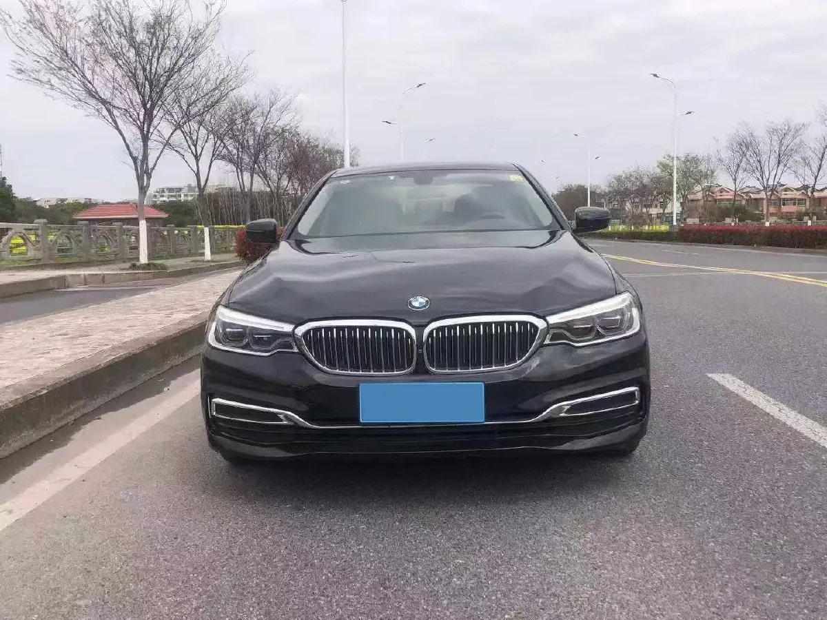 2020 BMW 5 Series 2.0T 252HP L4 8AT,autocango,china used car exporter,china ev exporter,chinese used car exporter,chinese used ev exporter