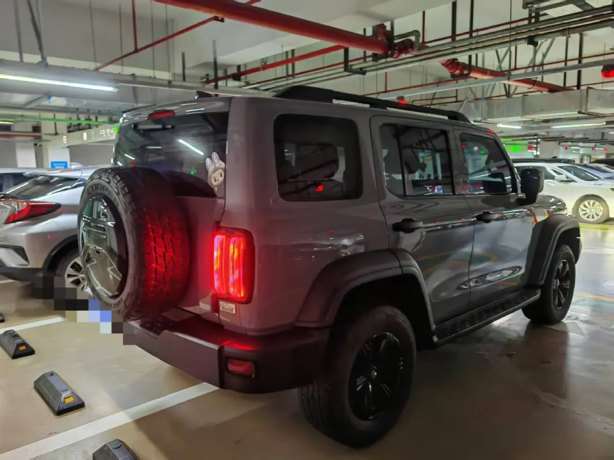 2021 Tank 300 2.0T 227HP L4 8AT,autocango,china used car exporter,china ev exporter,chinese used car exporter,chinese used ev exporter