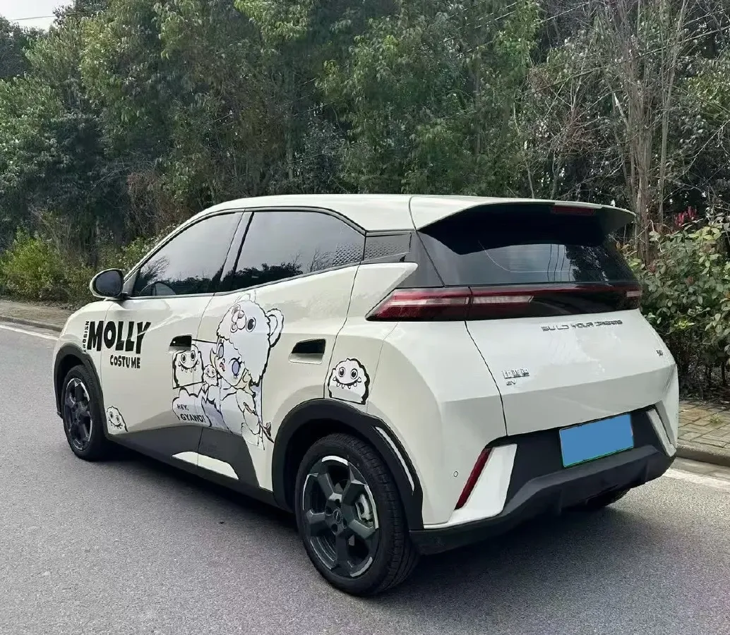 2023 BYD Seagull BEV 30.08KWH,autocango,china used car exporter,china ev exporter,chinese used car exporter,chinese used ev exporter