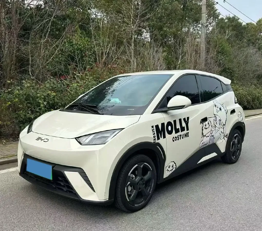 2023 BYD Seagull BEV 30.08KWH,autocango,china used car exporter,china ev exporter,chinese used car exporter,chinese used ev exporter