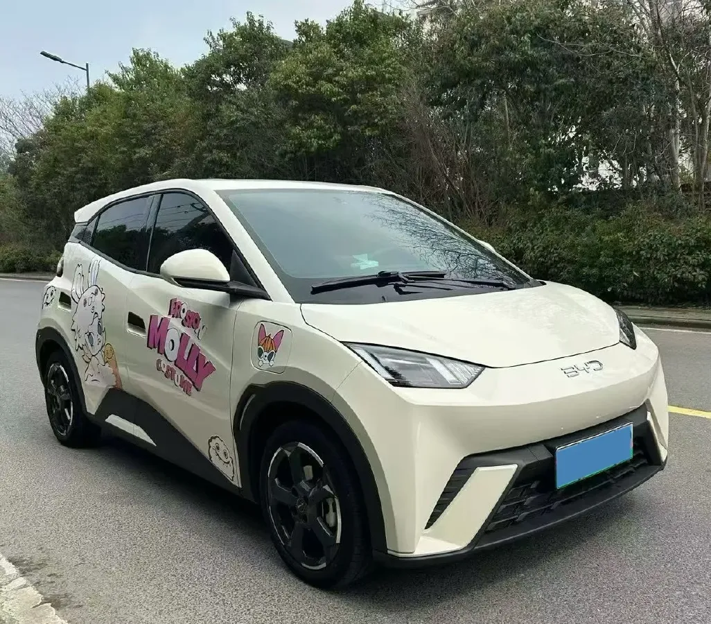2023 BYD Seagull BEV 30.08KWH,autocango,china used car exporter,china ev exporter,chinese used car exporter,chinese used ev exporter
