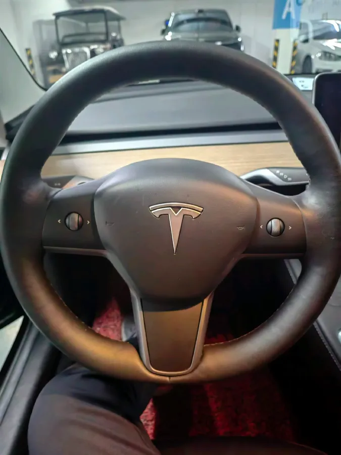 2021 Tesla Model 3 BEV 55KWH,autocango,china used car exporter,china ev exporter,chinese used car exporter,chinese used ev exporter