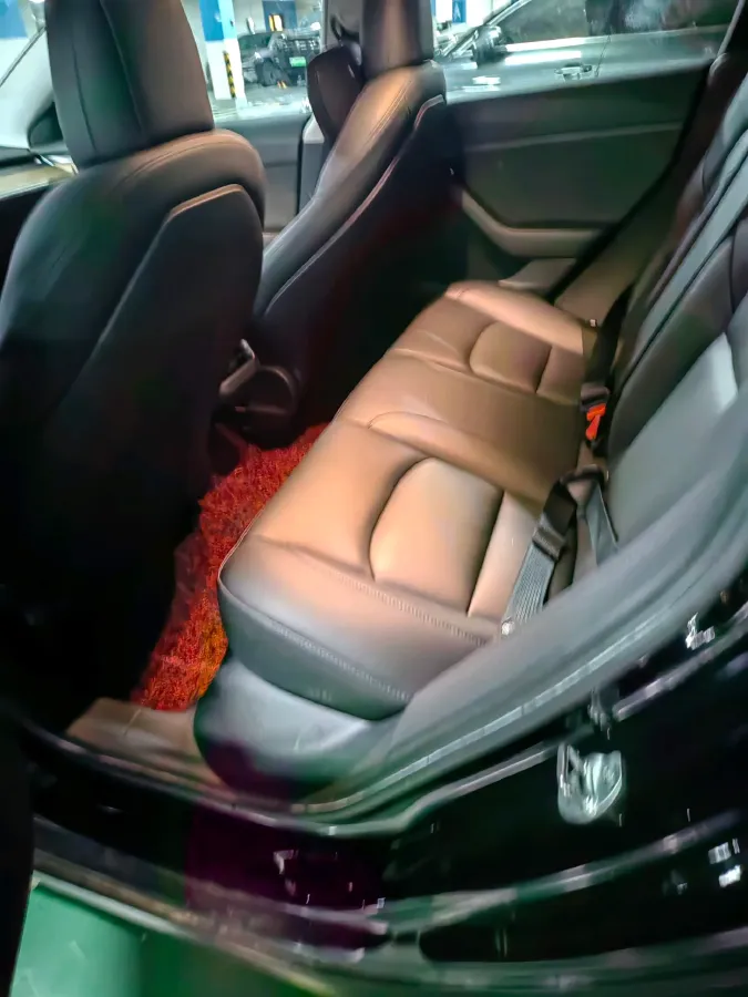 2021 Tesla Model 3 BEV 55KWH,autocango,china used car exporter,china ev exporter,chinese used car exporter,chinese used ev exporter