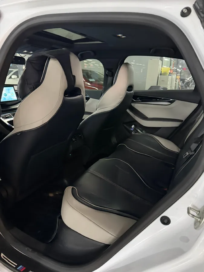 2021 DongFeng FuKang e Elysee BEV 38.4KWH,autocango,china used car exporter,china ev exporter,chinese used car exporter,chinese used ev exporter