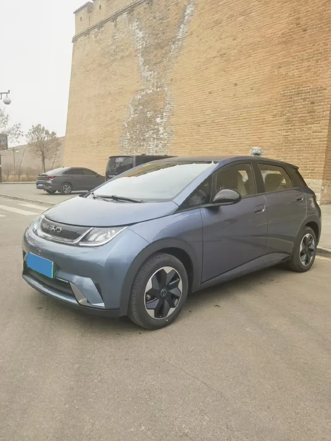 2025 BYD Dolphin BEV 44.928KWH,autocango,china used car exporter,china ev exporter,chinese used car exporter,chinese used ev exporter
