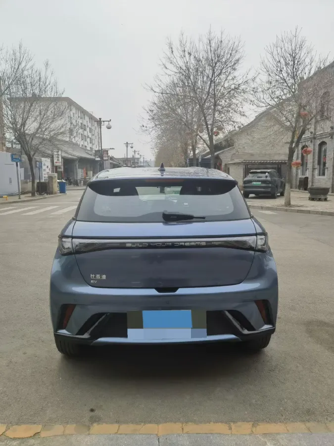 2025 BYD Dolphin BEV 44.928KWH,autocango,china used car exporter,china ev exporter,chinese used car exporter,chinese used ev exporter