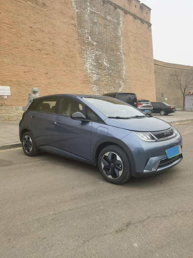 2025 BYD Dolphin BEV 44.928KWH,autocango,china used car exporter,china ev exporter,chinese used car exporter,chinese used ev exporter