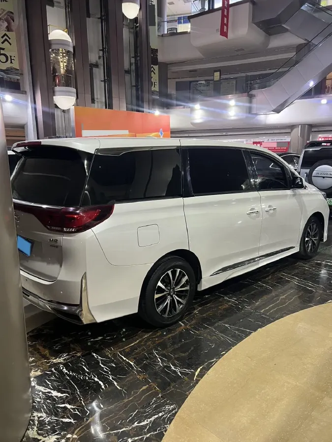 2021 GAC Trumpchi M8 2.0T 252HP L4 8AT,autocango,china used car exporter,china ev exporter,chinese used car exporter,chinese used ev exporter