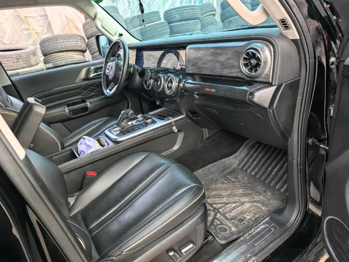 2021 Tank 300 2.0T 227HP L4 8AT,autocango,china used car exporter,china ev exporter,chinese used car exporter,chinese used ev exporter