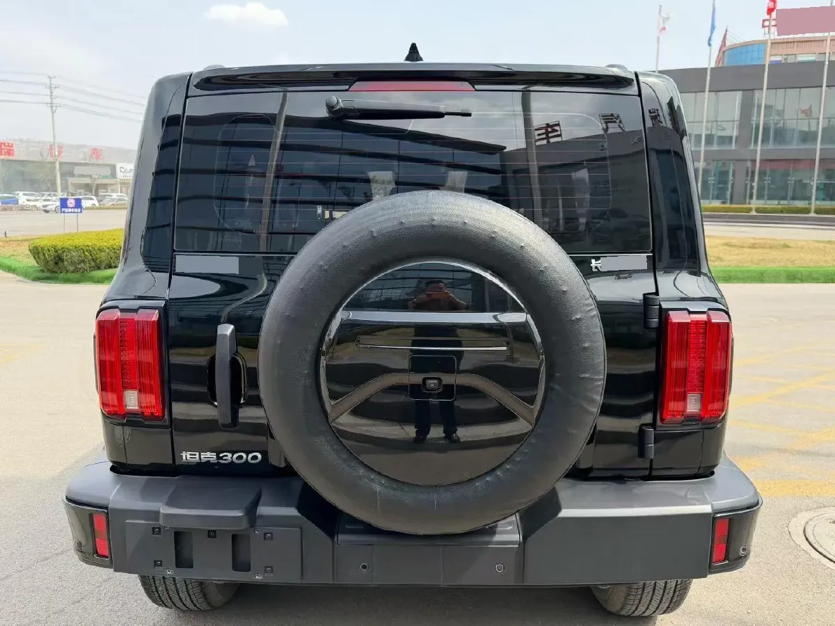 2024 Tank 300 2.0T 227HP L4 8AT,autocango,china used car exporter,china ev exporter,chinese used car exporter,chinese used ev exporter