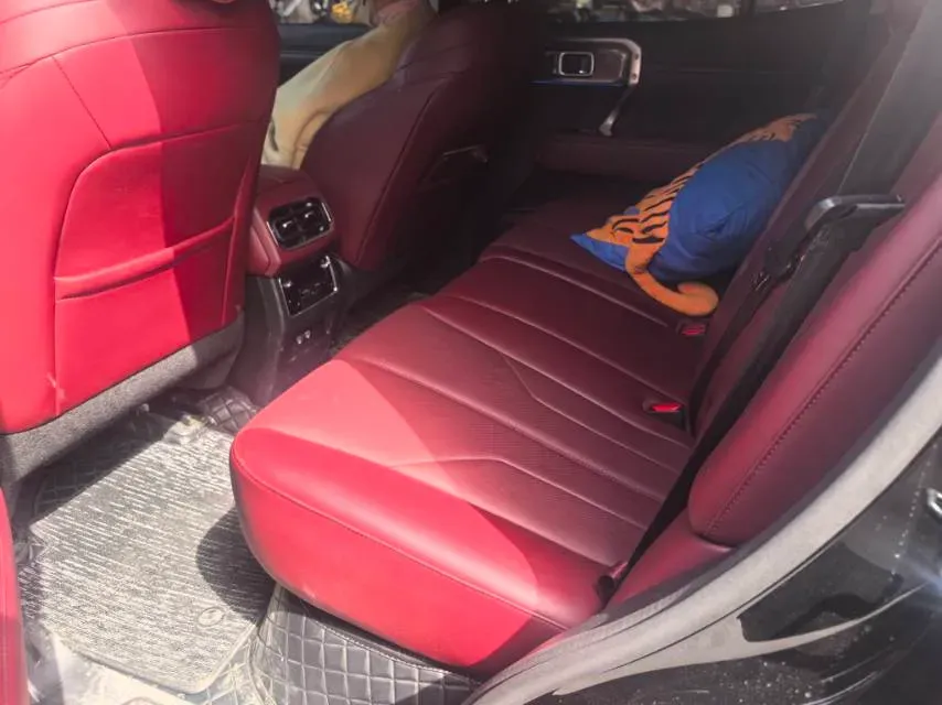 2024 Tank 400 2.0T 252HP L4 9AT PHEV 36.7/37.1KWH,autocango,china used car exporter,china ev exporter,chinese used car exporter,chinese used ev exporter