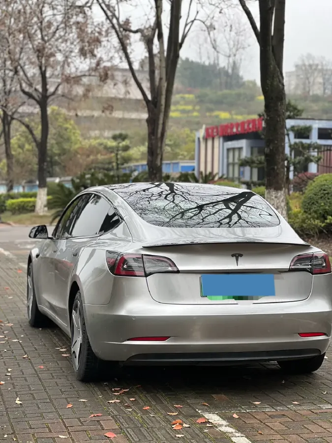 2019 Tesla Model 3 BEV 60KWH,autocango,china used car exporter,china ev exporter,chinese used car exporter,chinese used ev exporter