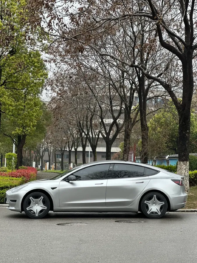 2019 Tesla Model 3 BEV 60KWH,autocango,china used car exporter,china ev exporter,chinese used car exporter,chinese used ev exporter
